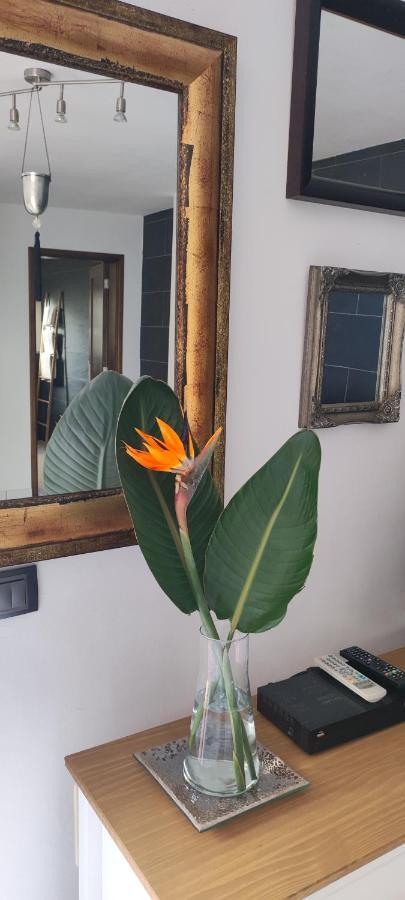 Casa Sandra Los Llanos De Aridane Bagian luar foto