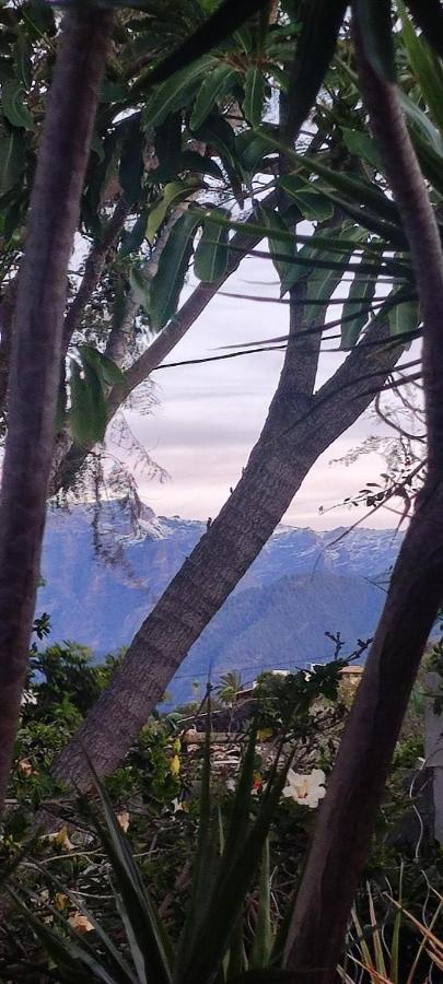 Casa Sandra Los Llanos De Aridane Bagian luar foto